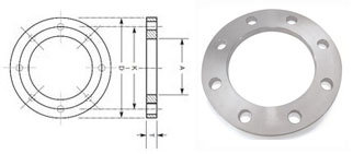 Stainless Steel Backing Ring Flange