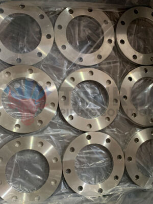 Stainless Steel Backing Ring Flange